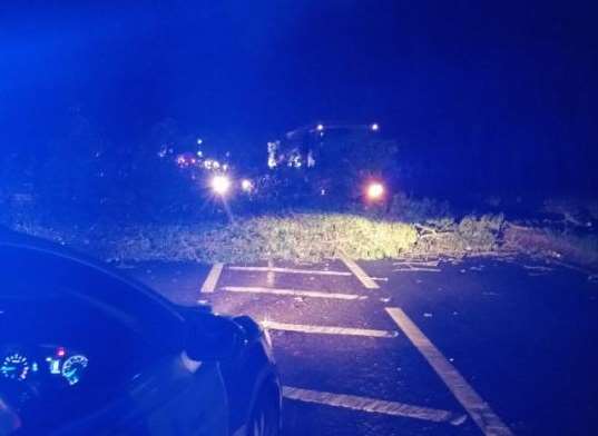 A large number of trees have come down. Picture: @kentpoliceton.