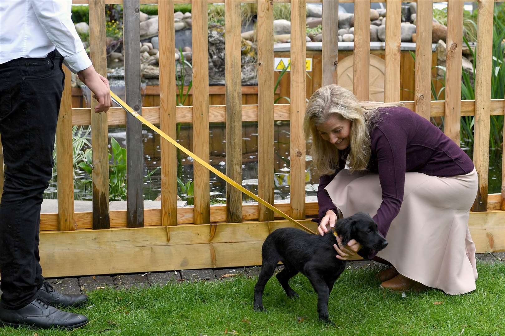 Sophie was taken with Hendrix, the 15-week-old cocker spaniel puppy, of the Sturt family (Stuart C Wilson/PA)