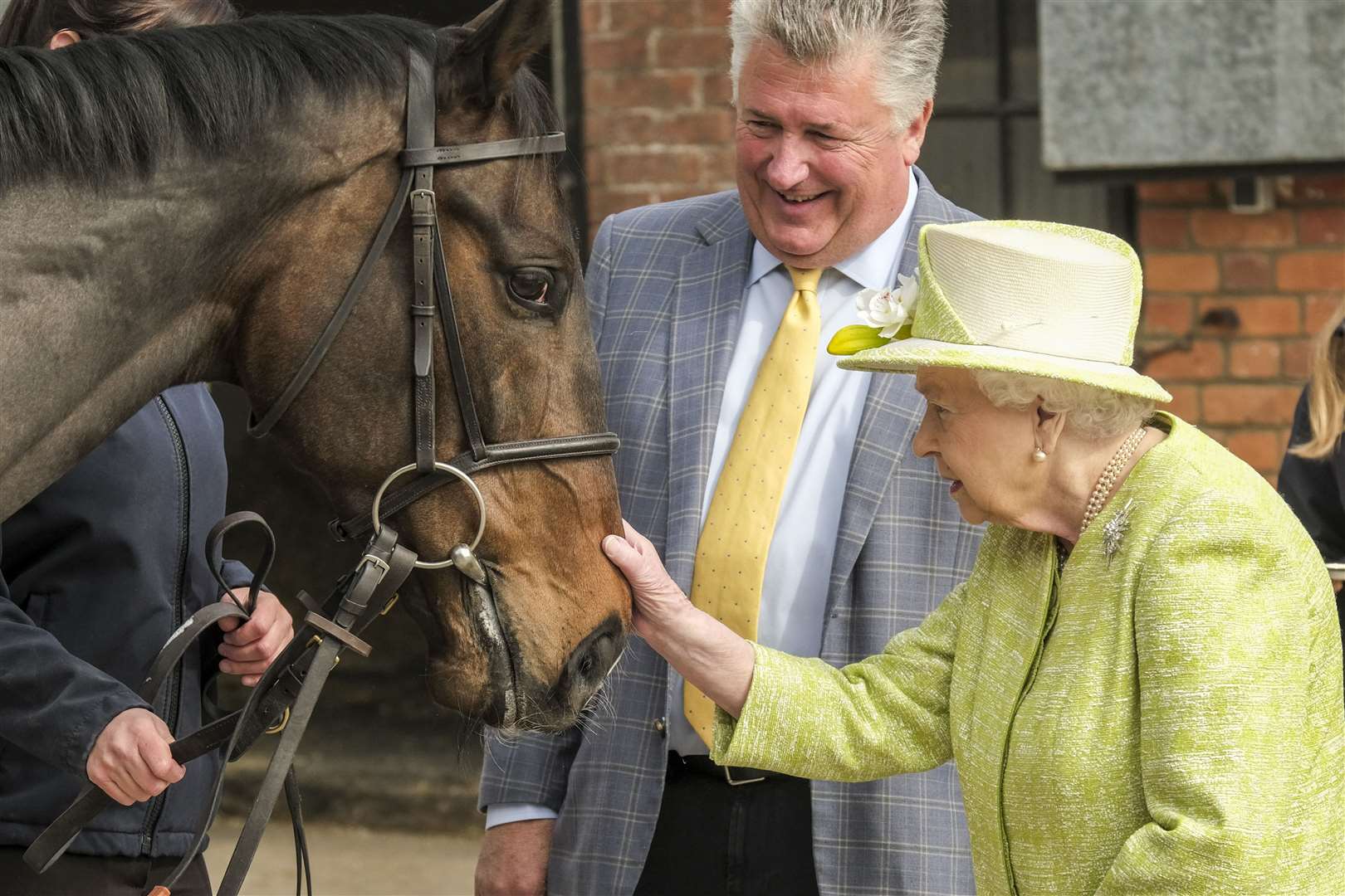 The Queen strokes racehorse McFabulous (Matt Keeble/PA)