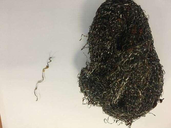 A four-inch piece of wool wire from a kitchen scourer was found in a chicken curry from Al-Madina Tandoori in Ditton. Picture: Tonbridge and Malling Borough Council Tonbridge