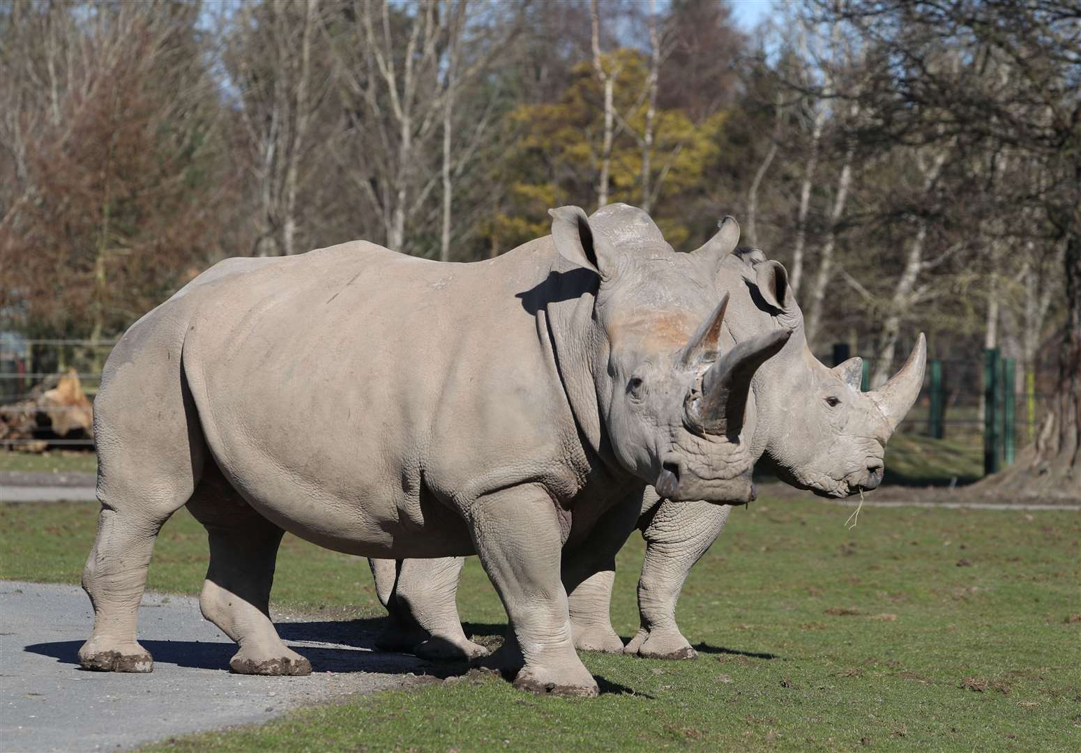 The UK-wide Biaza organisation is investigating welfare concerns at the park (Andrew Milligan/PA)