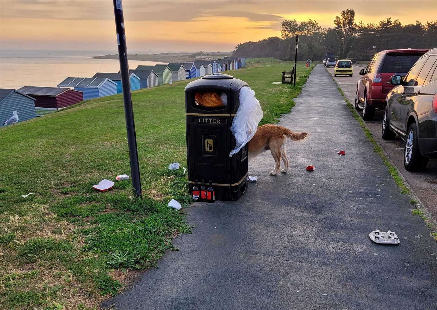 A dog walker says he has contacted Canterbury City Council multiple times but the issue of overflowing bins never gets solved