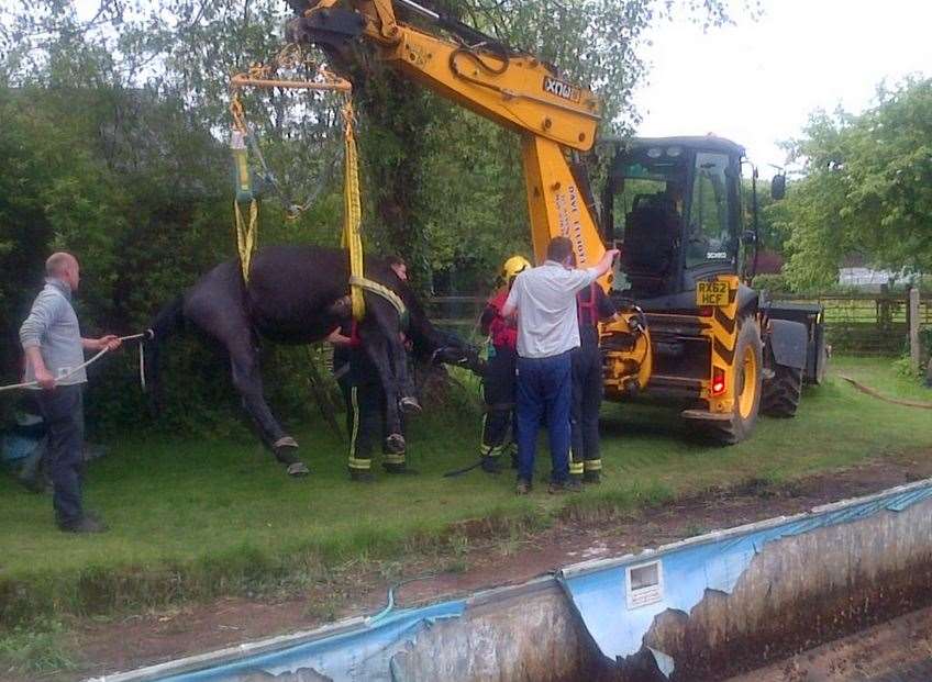 Fire crews rescued the horse. Picture: London Fire Brigade