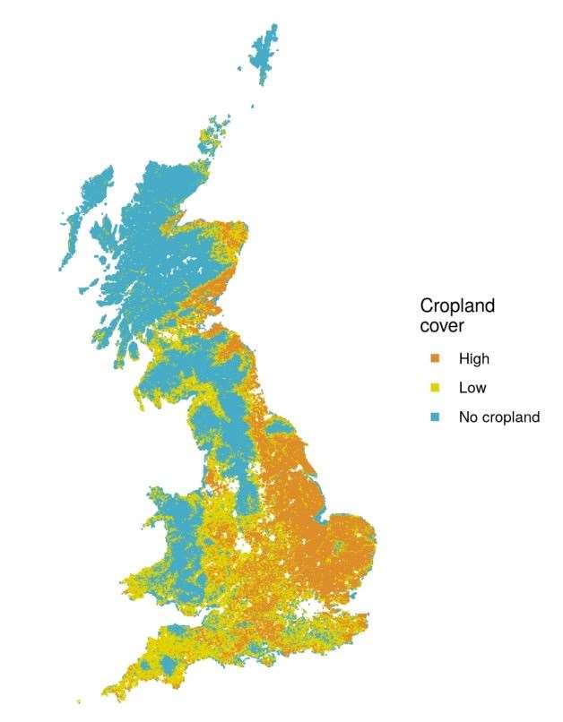 UK Centre for Ecology and Hydrology researchers divided the UK into 1km grids to analyse crop cover and invertebrate decline (UK Centre for Ecology and Hydrology/PA)