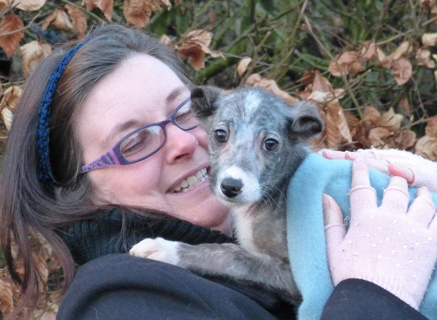 Puppies abandoned in Great Chart playing field have found