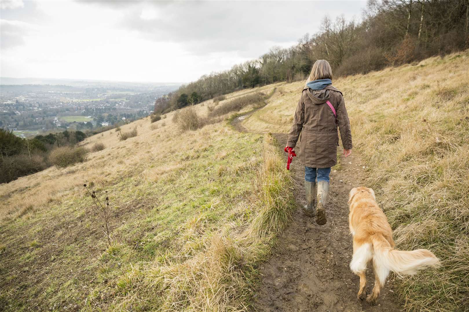 Explore the Kent countryside with your furry friend