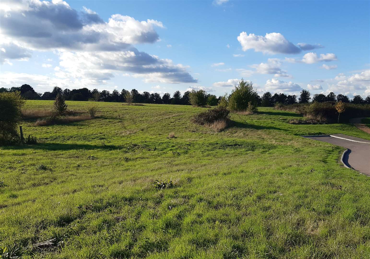 The land at Bunyards Farm which could be declared a Village Green