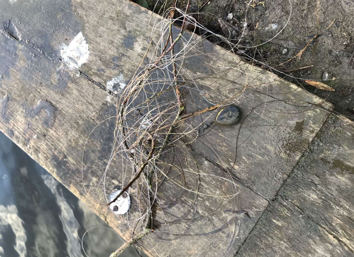 The fishing line was removed from the lake. Picture: RSPCA