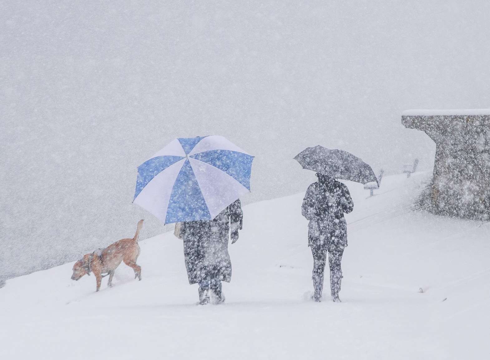 Umbrellas needed on the windswept seafront at Sheerness on the Isle of Sheppey. Picture: Julius Matikas