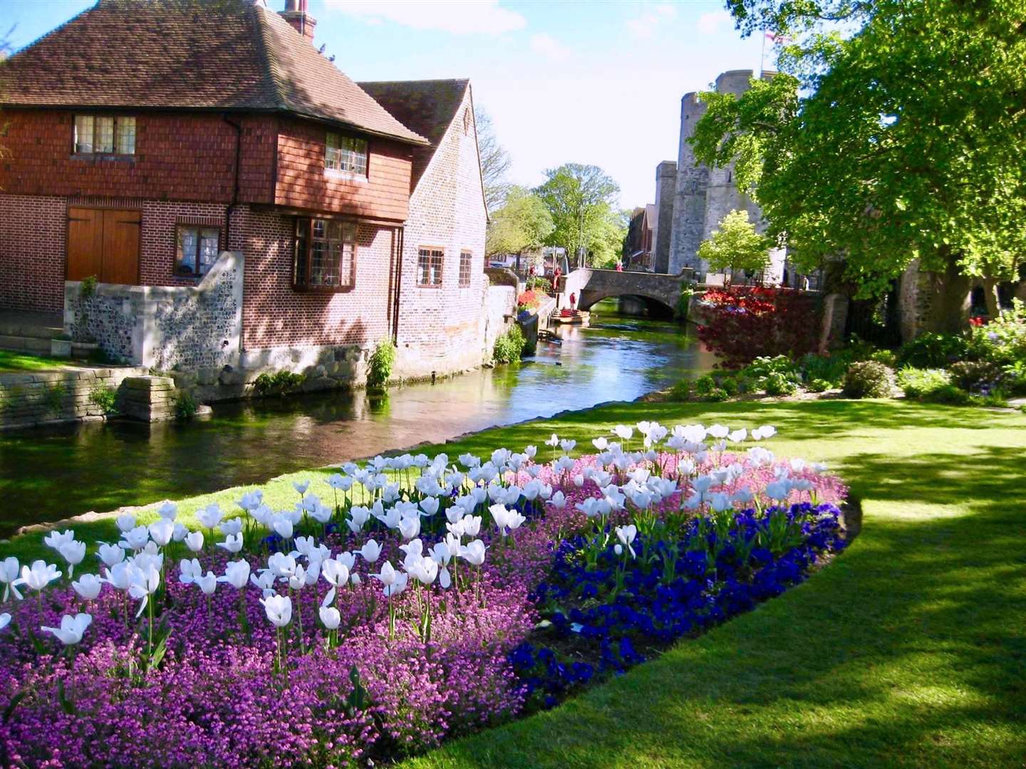 The flower bed pictured full of Spring blooms, last April. Picture: Diana Georgieva