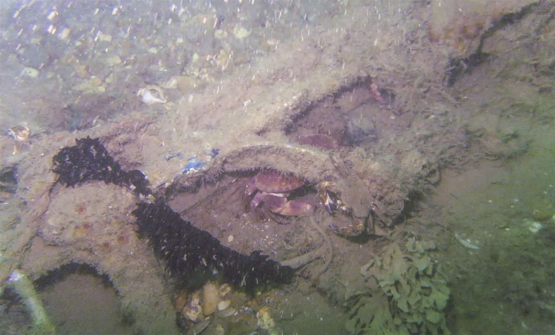 Debris from the suspected wartime bomber plane. Picture by Vince Woolsgrove, supplied by Goodwin Sands SOS