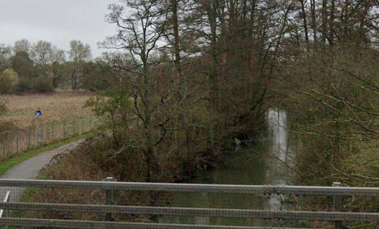 The pelican was seen swimming on the River Stour near Ashford Rugby Club. Picture: Google