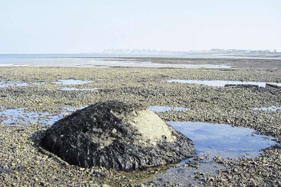 Naturists have been known to find discreet places to enjoy at Long Rock, Swalecliffe