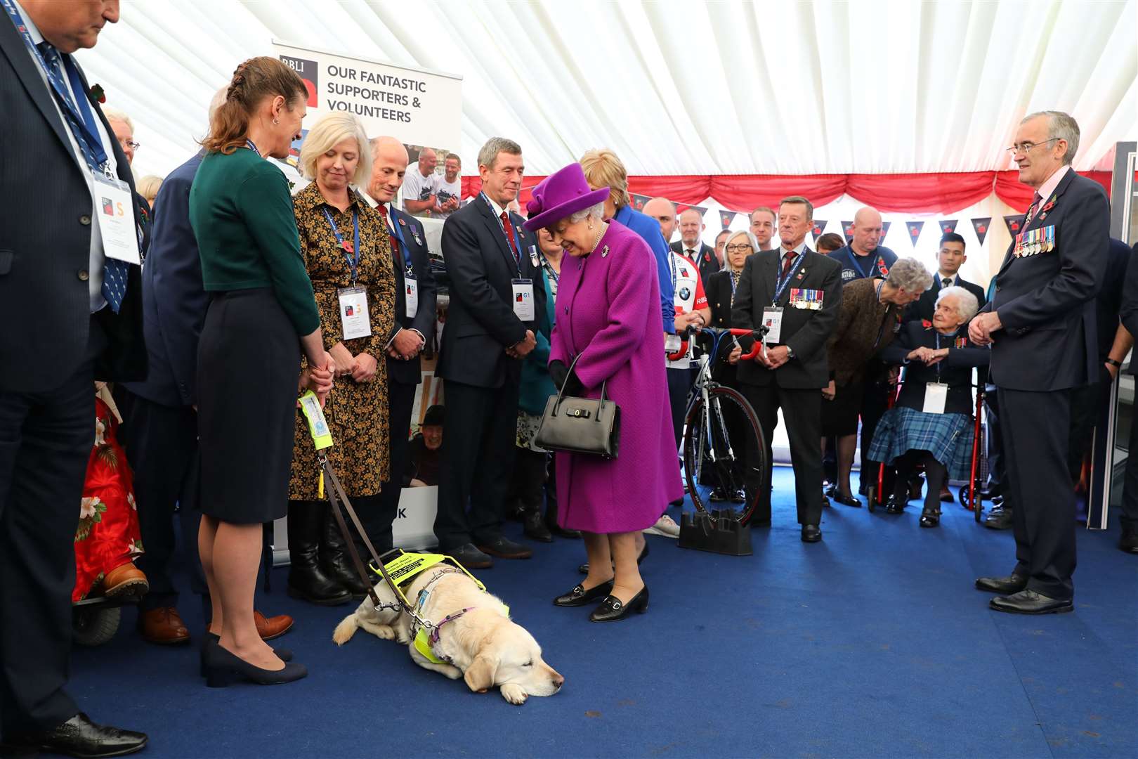 The Queen seemed very pleased to see a dog at the village