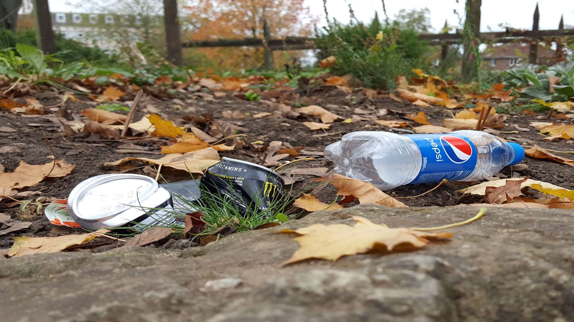 The park has been turned into a dumping ground