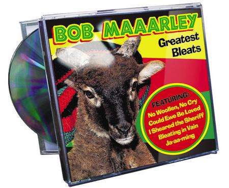 Songs that could suit the sheep whose owners say looks like Bob Marley - dubbed Bob Maaarley