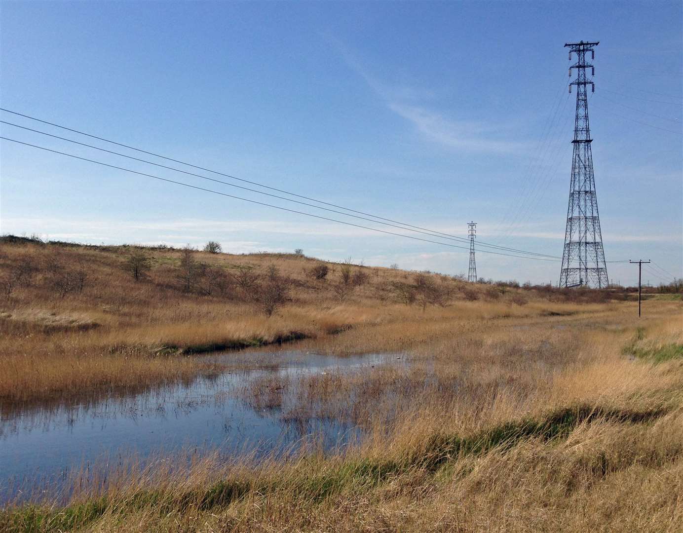 The Swanscombe Marshes have been designated as a Site of Special Scientific Interest. Picture: Diamond Geezer