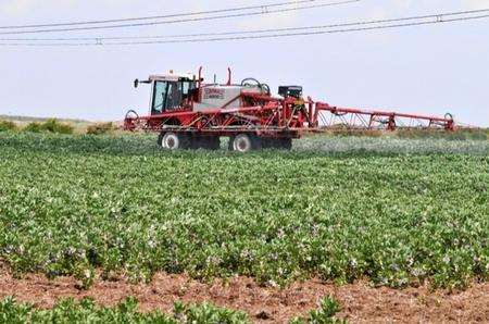 Crop-spraying in fields off the Old Sheppey Way, Iwade