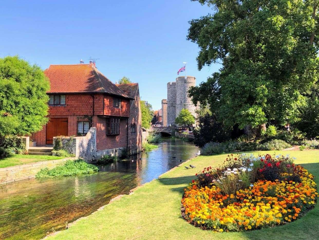 Canterbury photographer Ralph Lombart regularly photographs the flower bed in Westgate Gardens. Picture: Ralph Lombart (Instagram: Ralph Lombart Photography) (45511676)