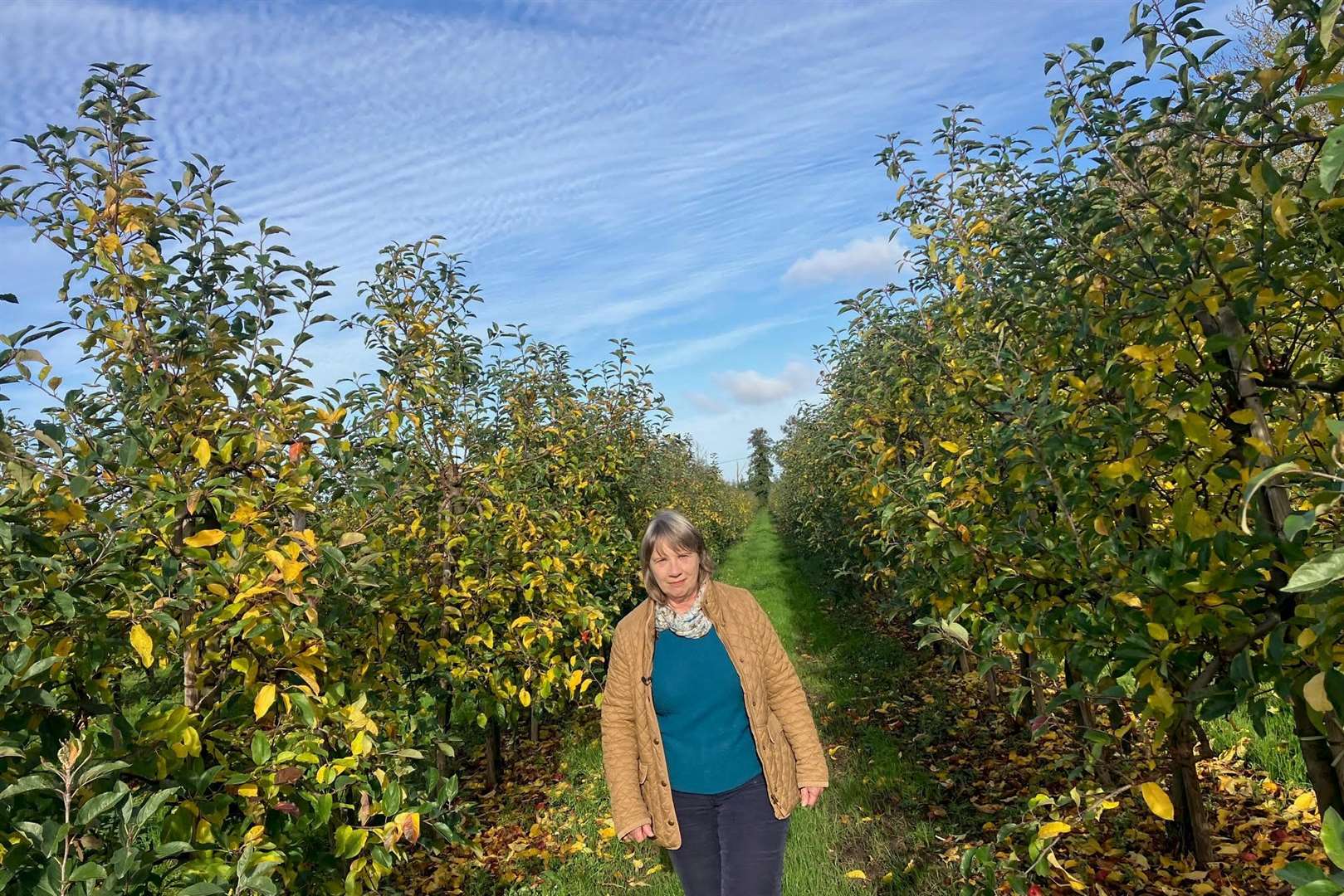 Sue Chandler on the family fruit farm near Sandwich