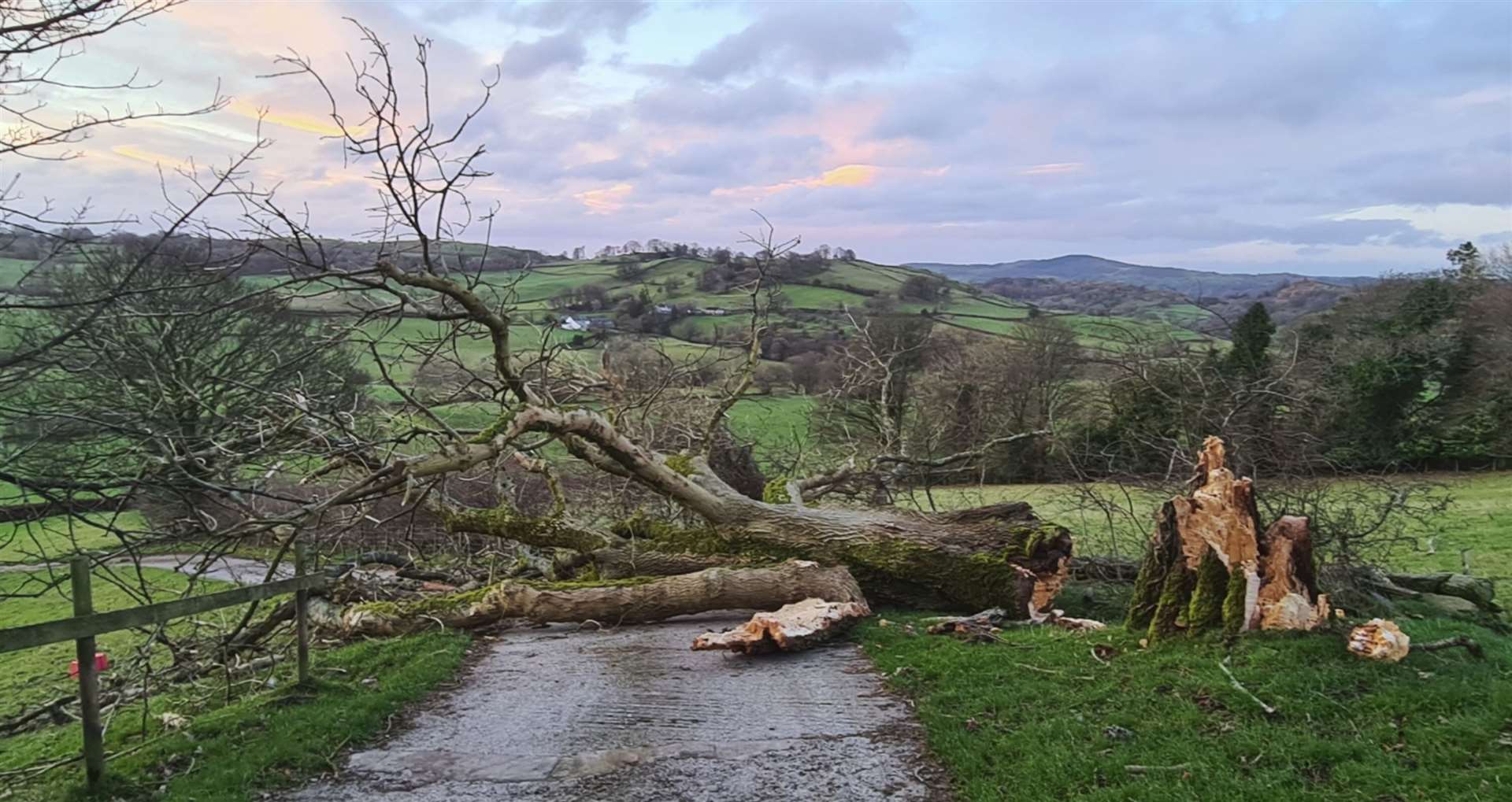 A road in Crook, South Lakeland was also blocked after high winds hit the area (Dan Bell/PA)