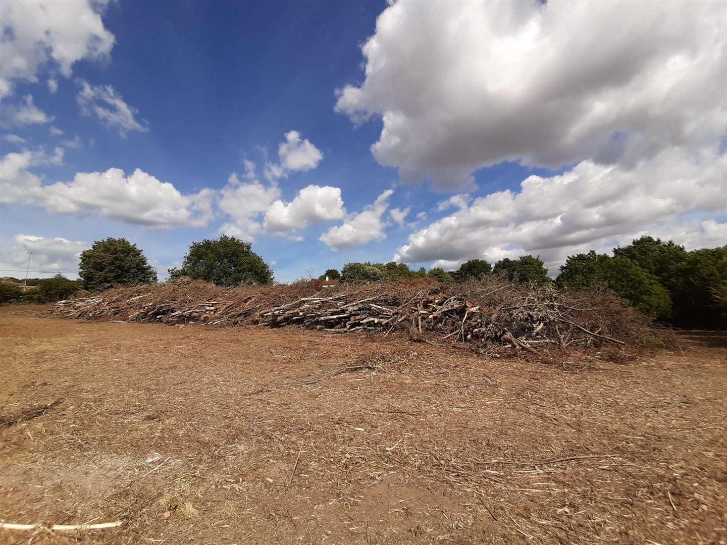 After: The land between Fairview Gardens in Sturry and Westbere Lane has been stripped of trees as part of the management of the site. (16205794)