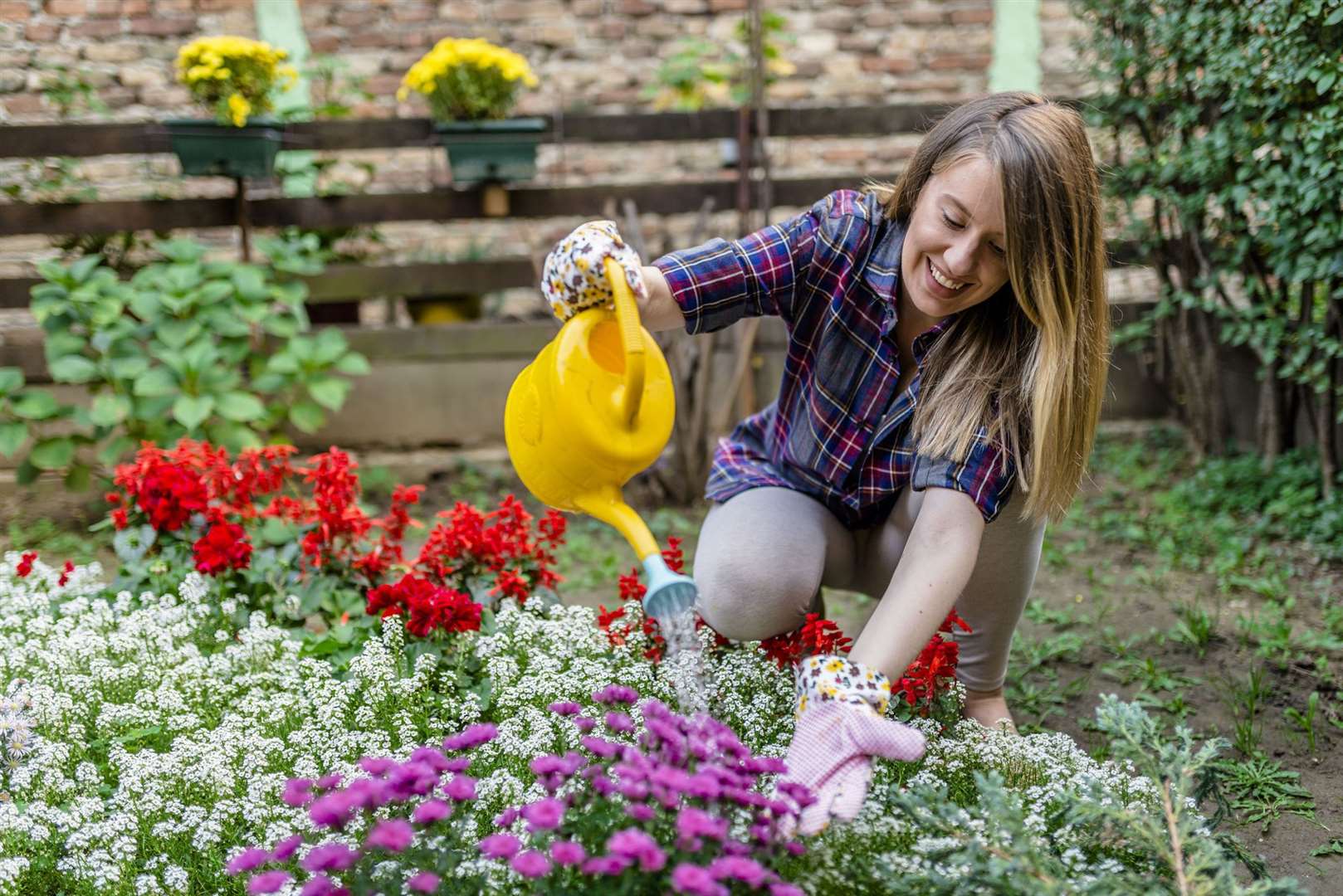 You can now get the plants you need for your outdoor space