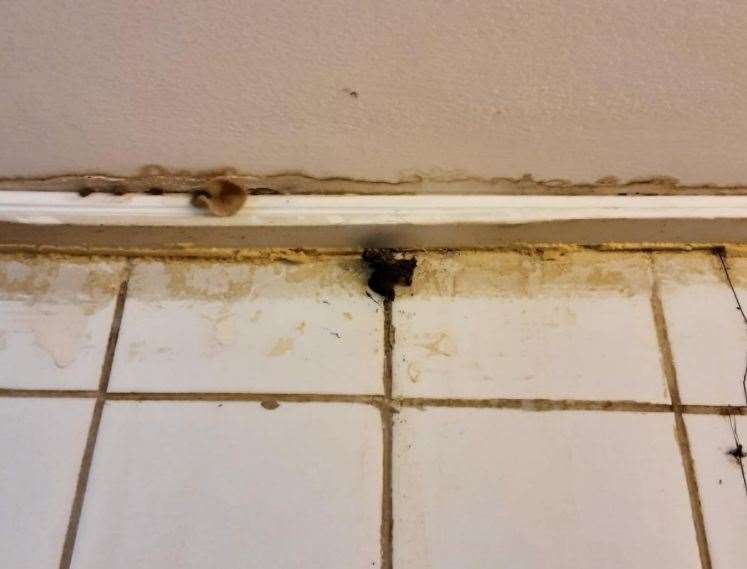 The environmental health team found uncovered raw meat in a fridge, mouldy walls and a build-up of grease on surfaces at Paper Duck World Buffet in Ashford. Picture: Ashford Borough Council