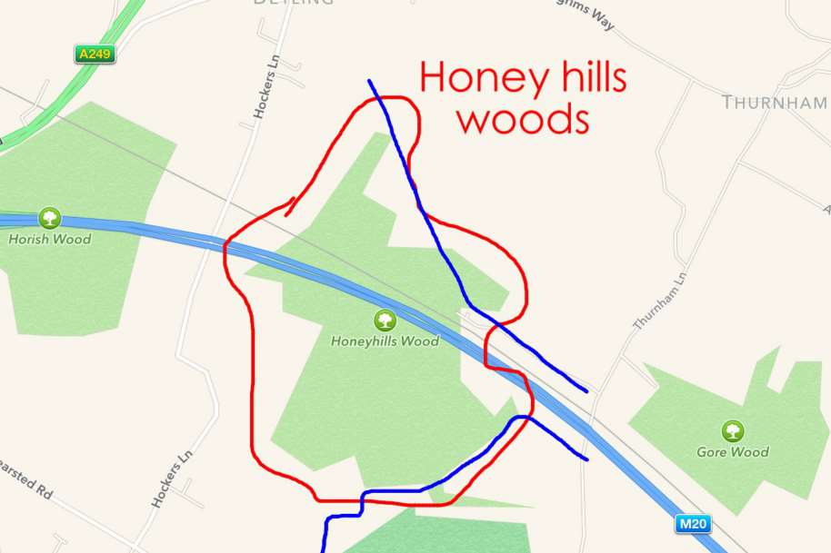 Honeyhills Woods near Thurnham are yet to have been searched