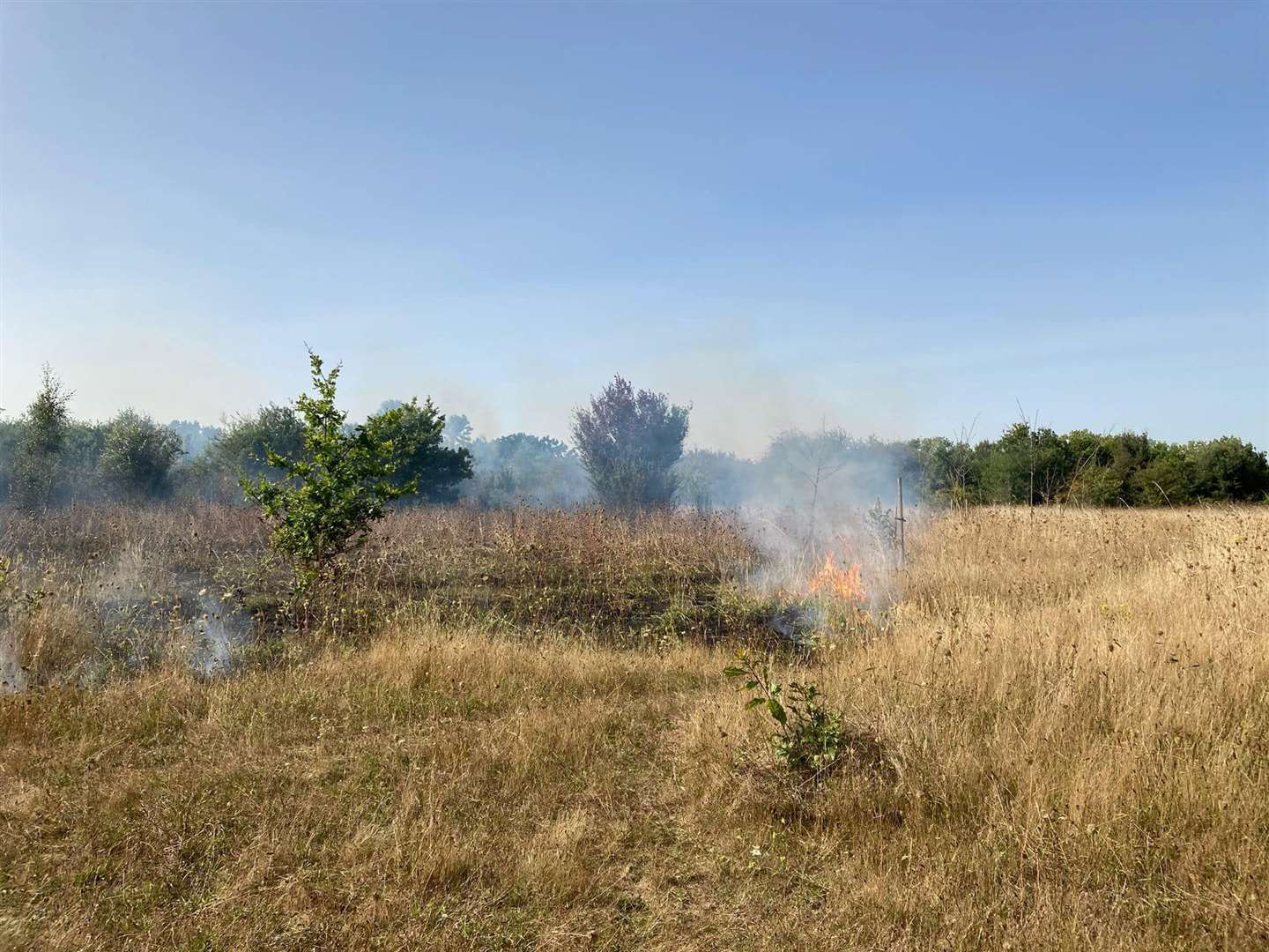 A fire broke out near Swanscombe Heritage Park