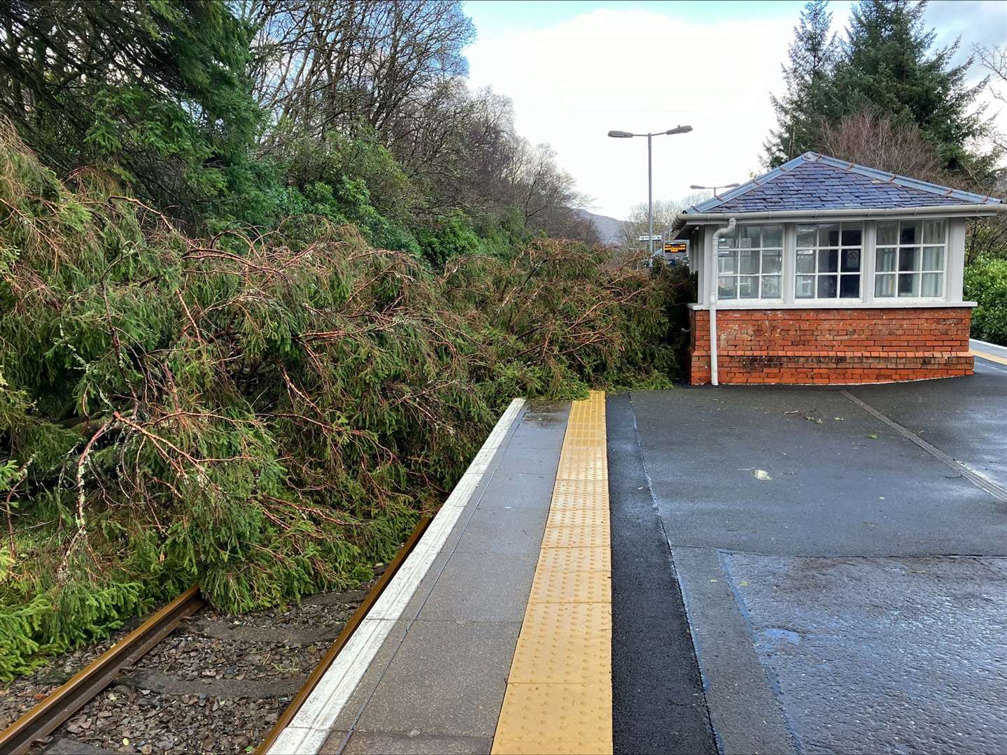 A fallen tree on the line at Arrochar & Tarbet in Scotland (Network Rail Scotland/PA)