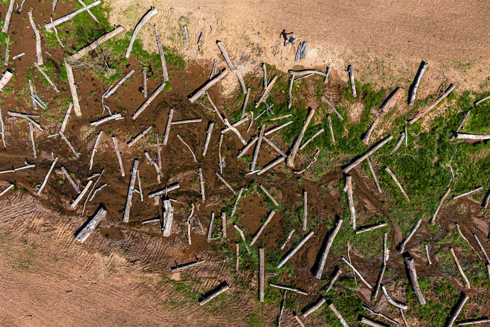 A bird’s-eye view of hundreds of logs placed on the newly formed flood plain at the River Aller on the National Trust Holnicote Estate, Exmoor, Somerset, where the first attempt at scale to create a more natural, diverse and resilient wetland and landscape in the UK will help tackle impacts of climate change such as flooding and drought (PA)