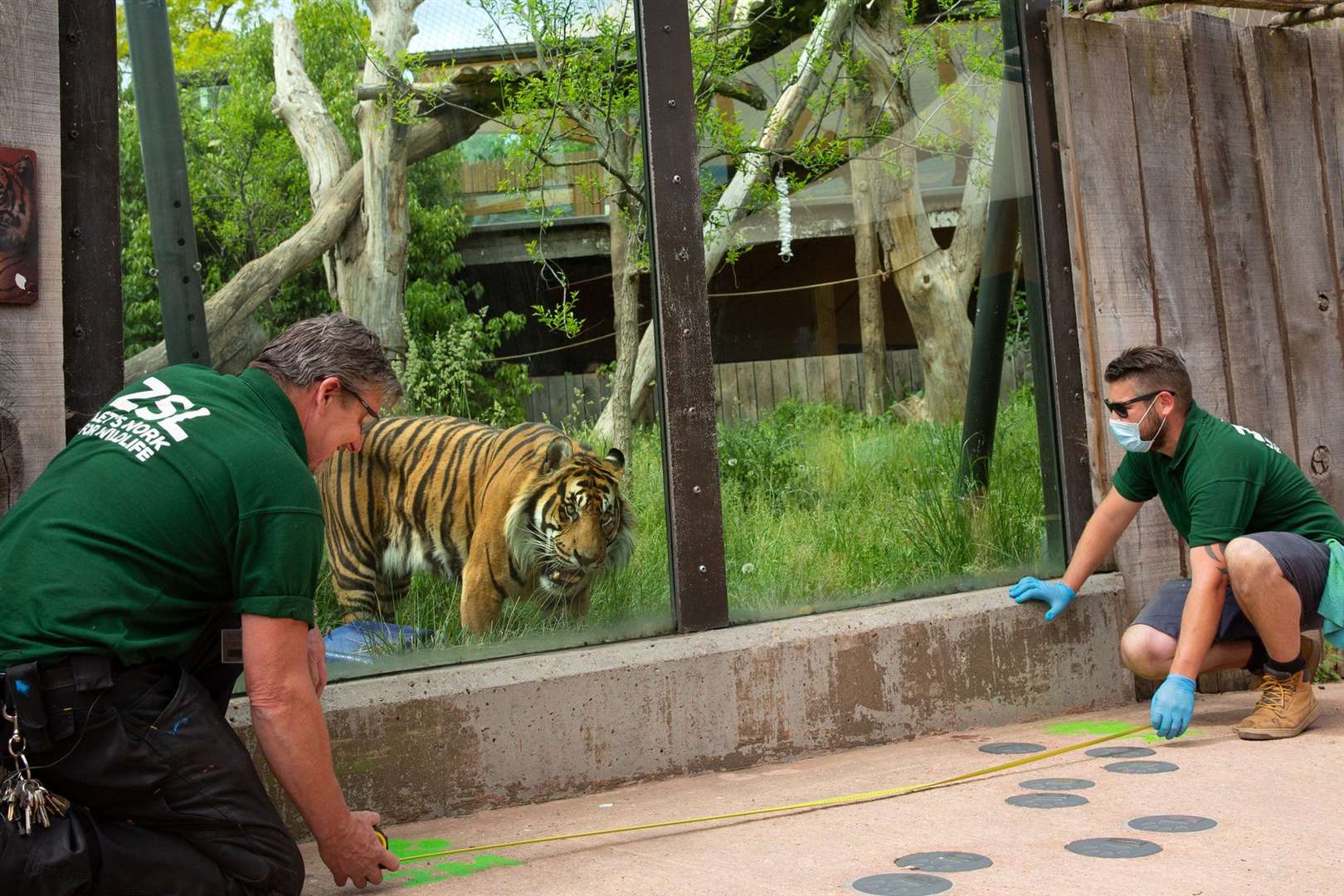 zoos-prepare-to-reopen-to-visitors-in-latest-lockdown-easing