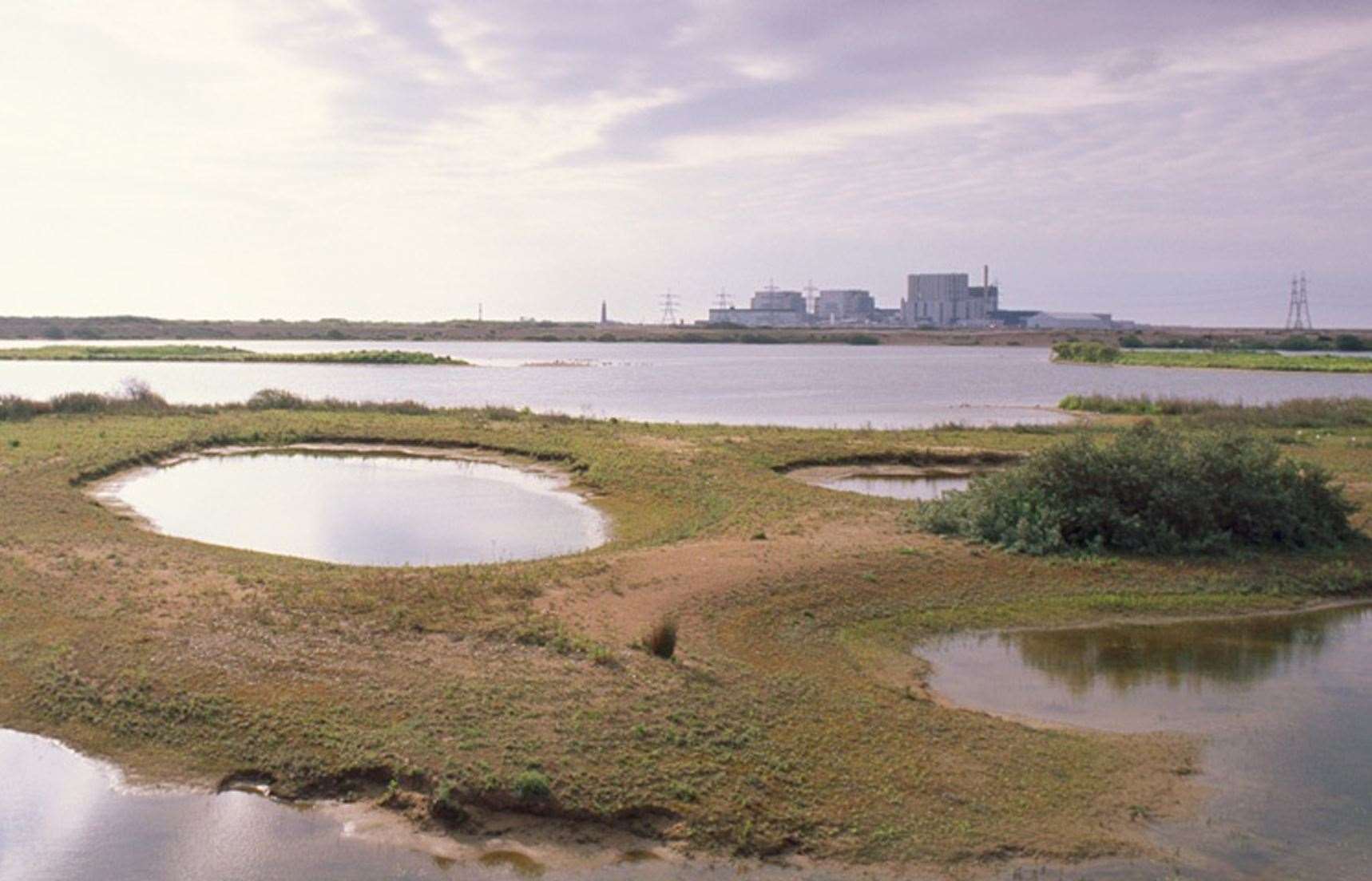 The on-site shop at Dungeness Nature Reserve is to close in early 2025. Picture: Andy Hay/RSPB