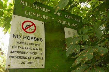 No horses sign