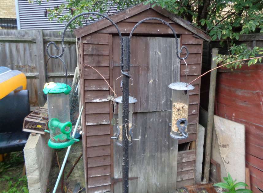 The feeders which were coated in glue