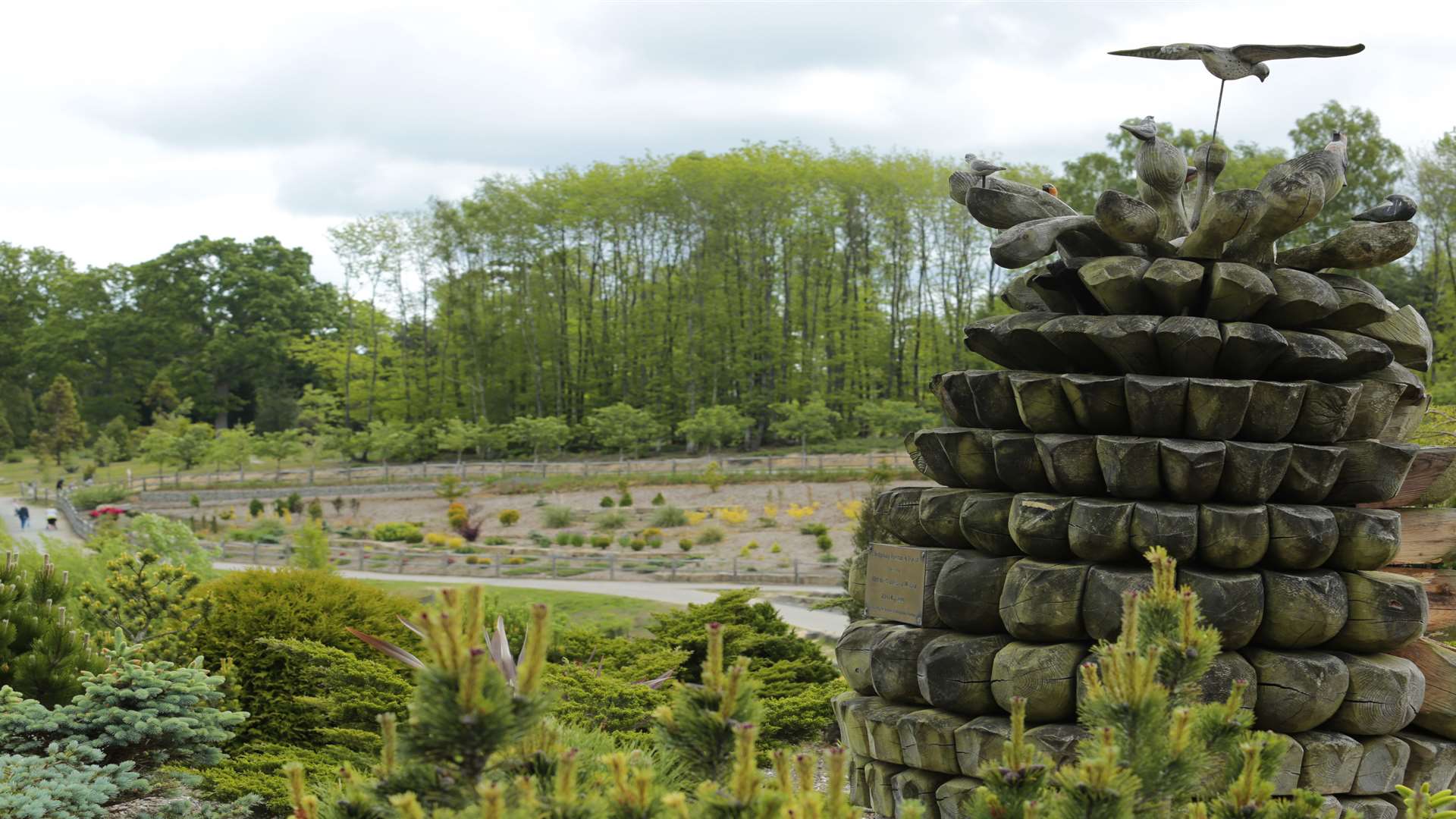 Bedgebury Pinetum has plenty of flora and fauna