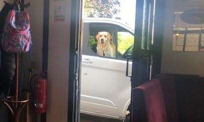 Judging by his bark, this good boy, left in the van, wanted to join his owner at the bar