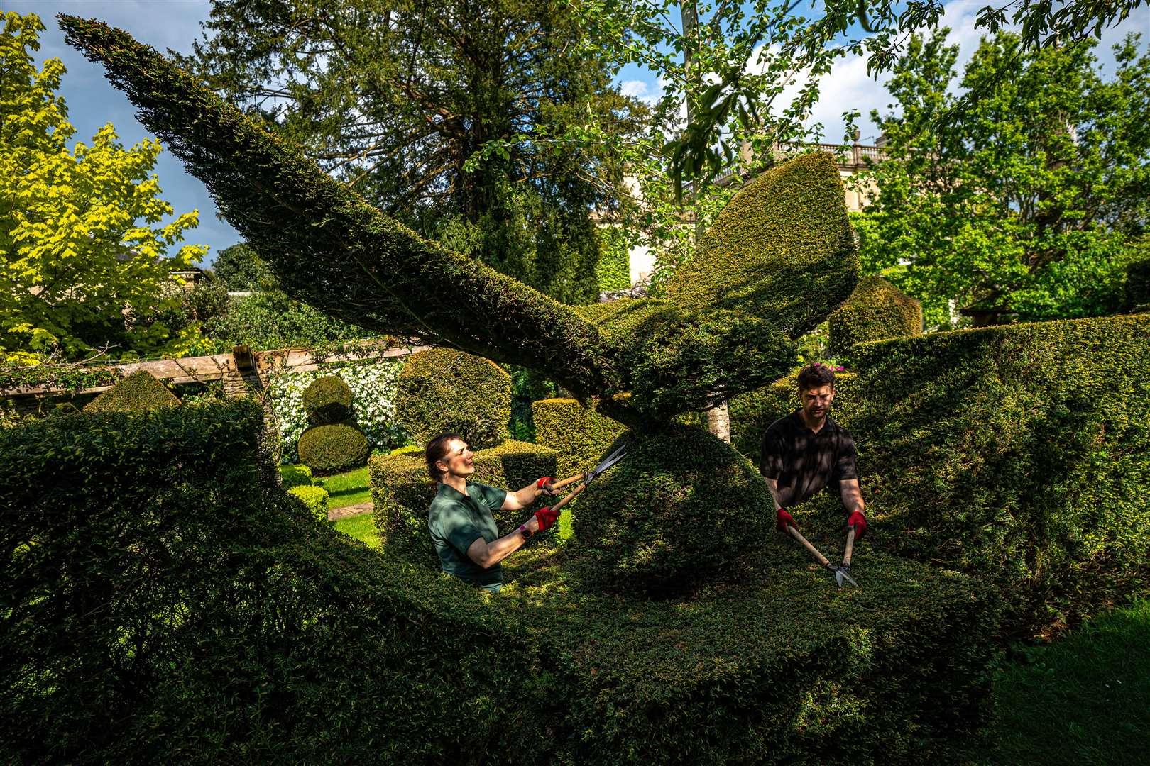 Two gardeners trim a bush (Ben Birchall/PA)