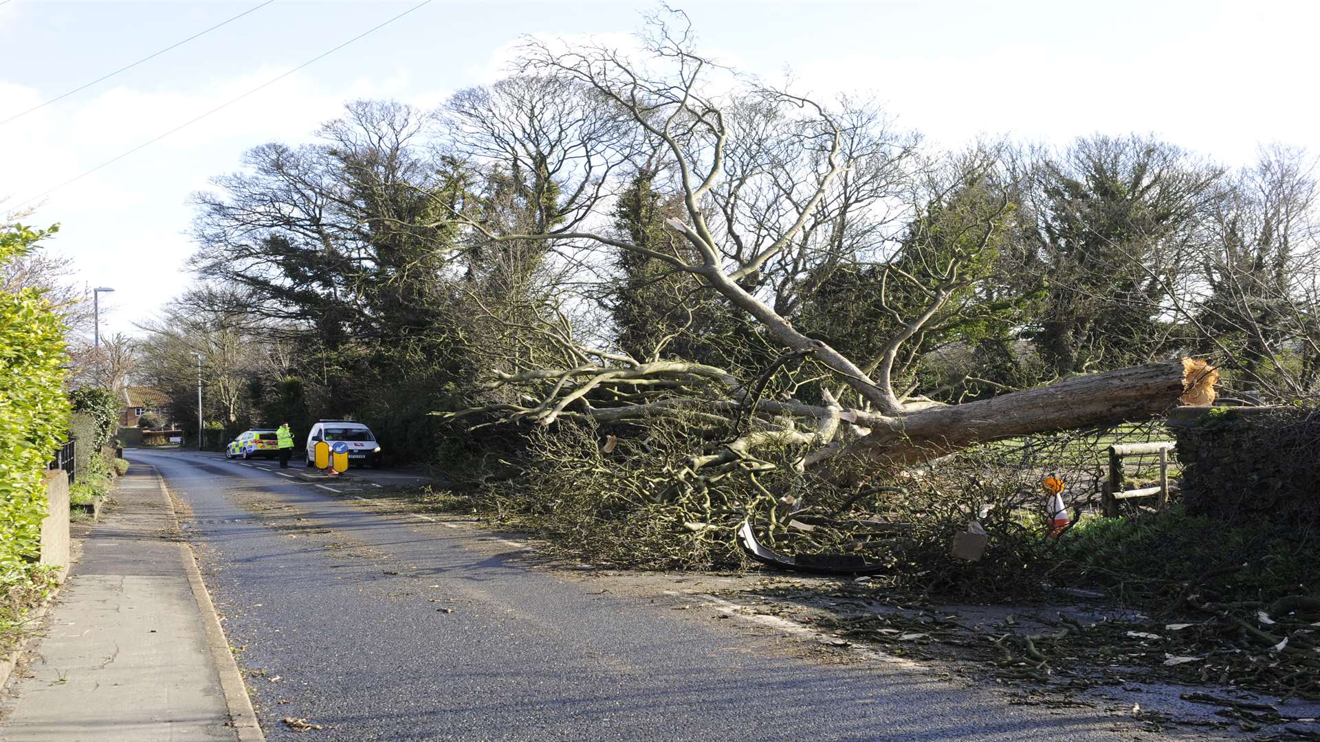 Fallen tree during Storm Katie.