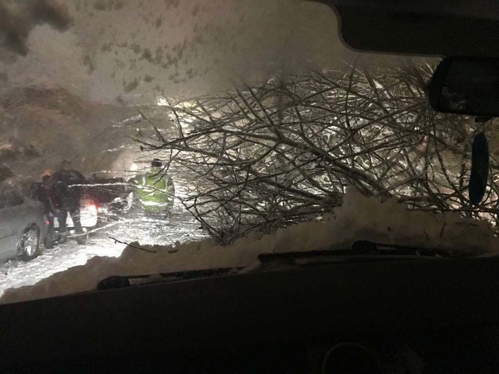 The view from inside the car as the branches came crashing onto the windscreen, in Walderslade Woods Road, on Friday, February 1. Pic from Debbie Cooley. (6968349)