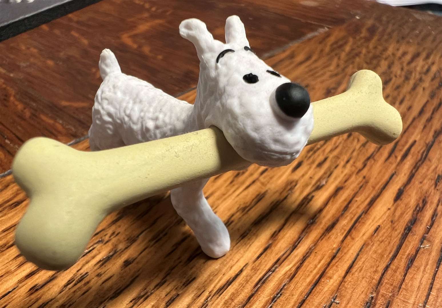 Steve's parting gift...Tintin's Snowy...a dog with a bone