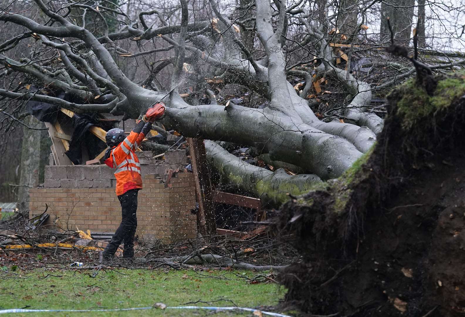 Workers remove a tree that fell on an electricity substation on the Kinnaird estate in Larbert during Storm Isha (Andrew Milligan/PA)