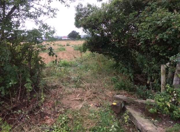 This hedge was knocked down in Couchman Green Lane.