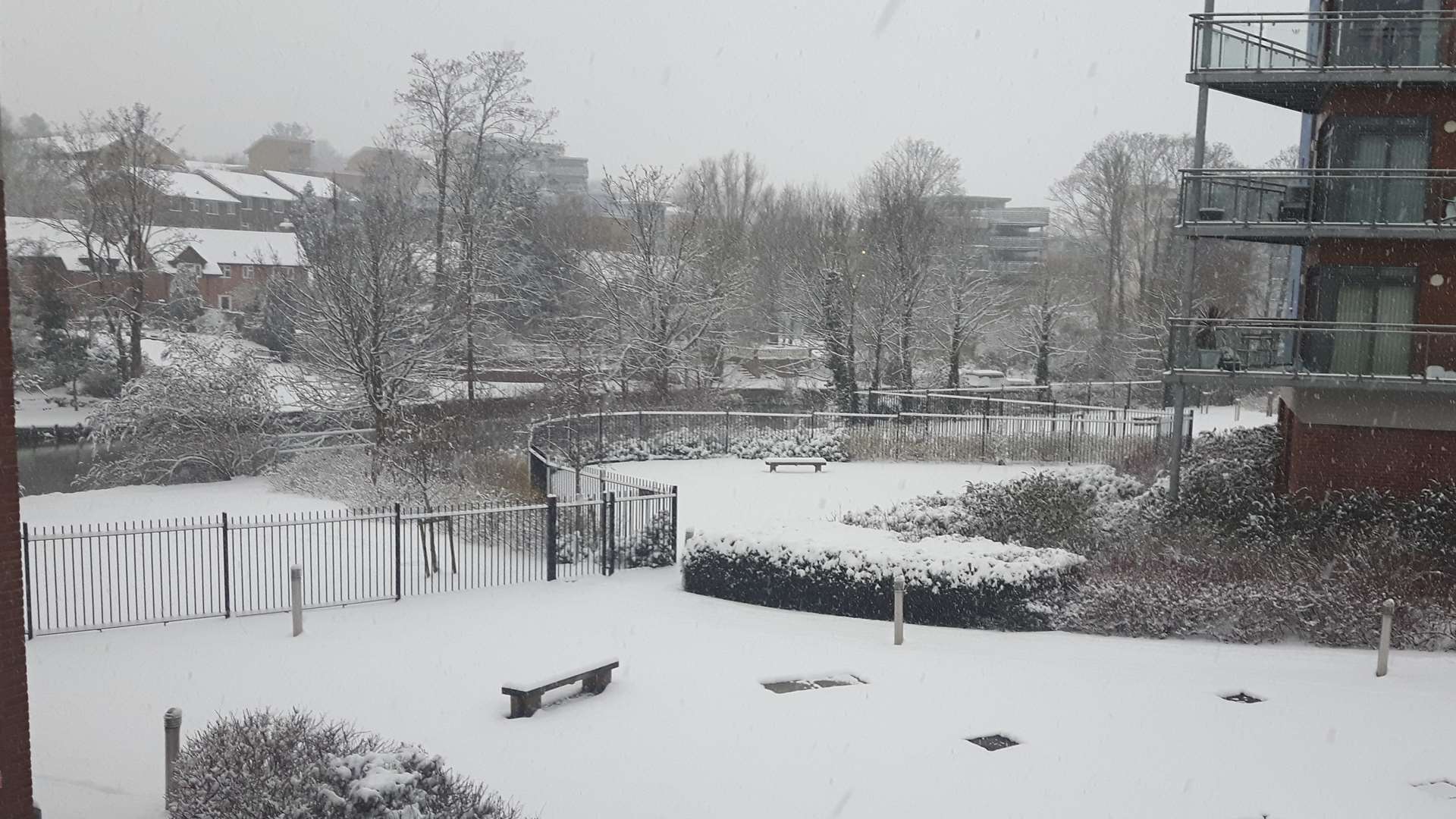 Residents on Wallis Place woke up to this view across the River Medway