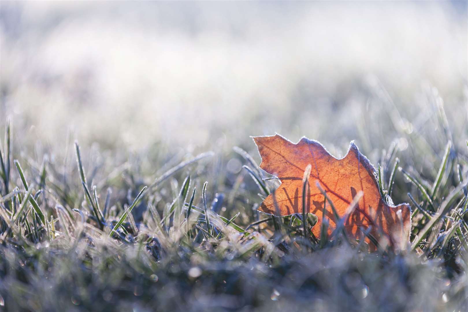 People are warned to expect a heavy frost