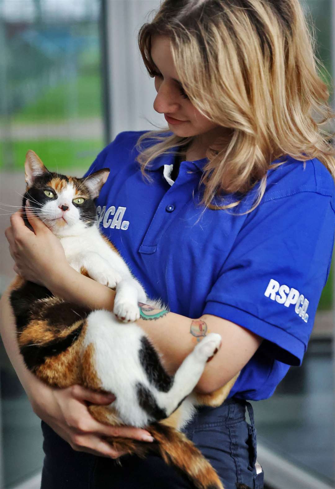 A volunteer at RSPCA Leybourne Animal Centre in West Malling
