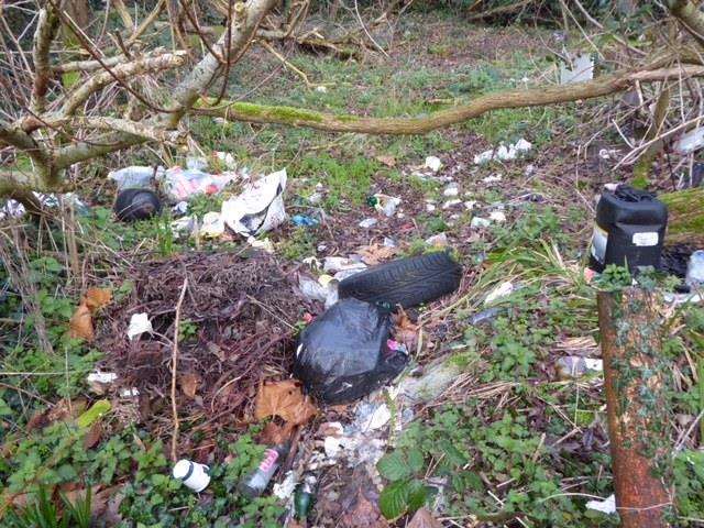 Waste is strewn across verges and hedgerows