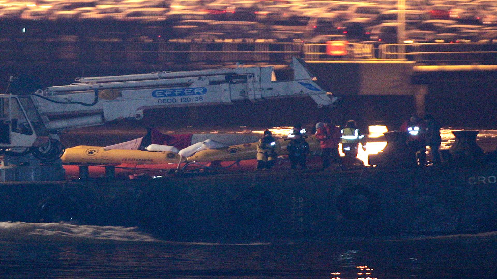 The whale stranded in the Thames is carried past Gravesend on a barge.