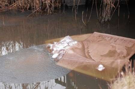 The carcass in the stream at Old Romney